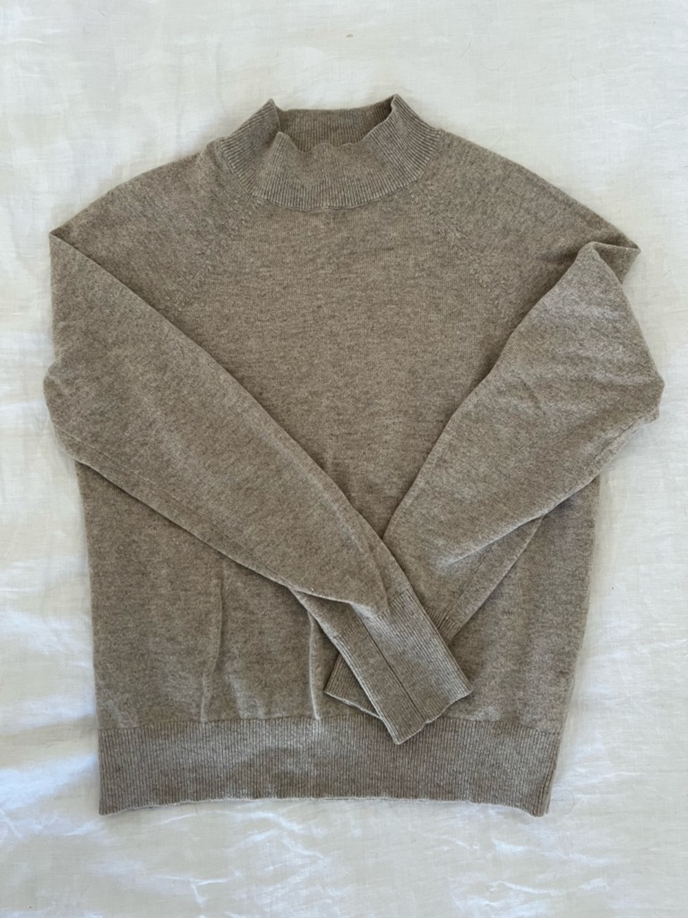 Everlane women’s cashmere mockneck Sweater in Taupe